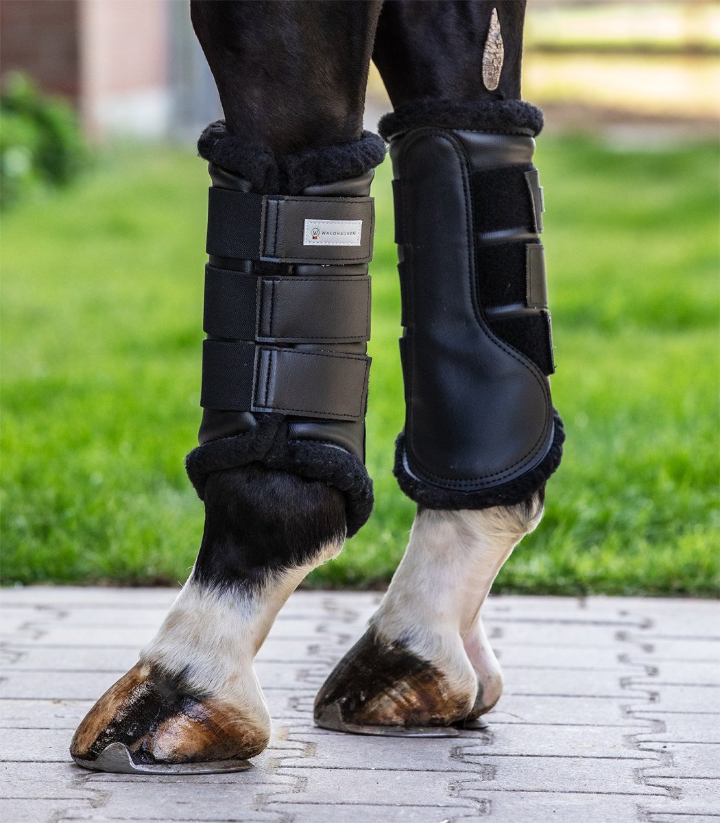 PROTETOR WALDHAUSEN DRESSAGE C/PELO - Image 4