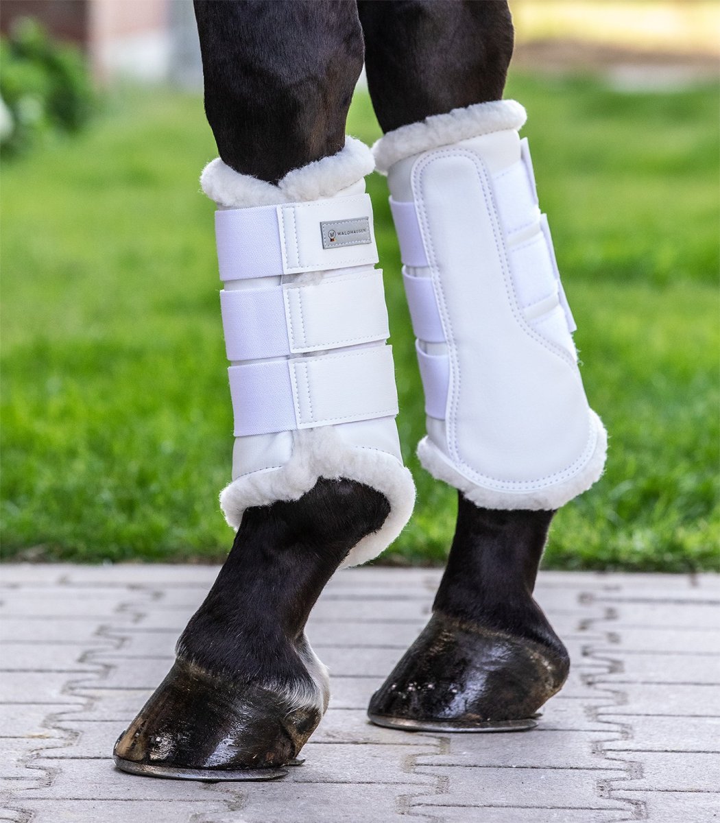 PROTETOR WALDHAUSEN DRESSAGE C/PELO - Image 2