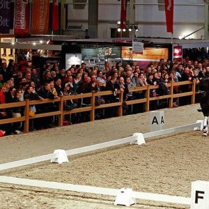 PISTA DRESSAGE 20X60M – S/LETRAS