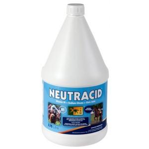 NEUTRACID 3.75 LITROS TRM®